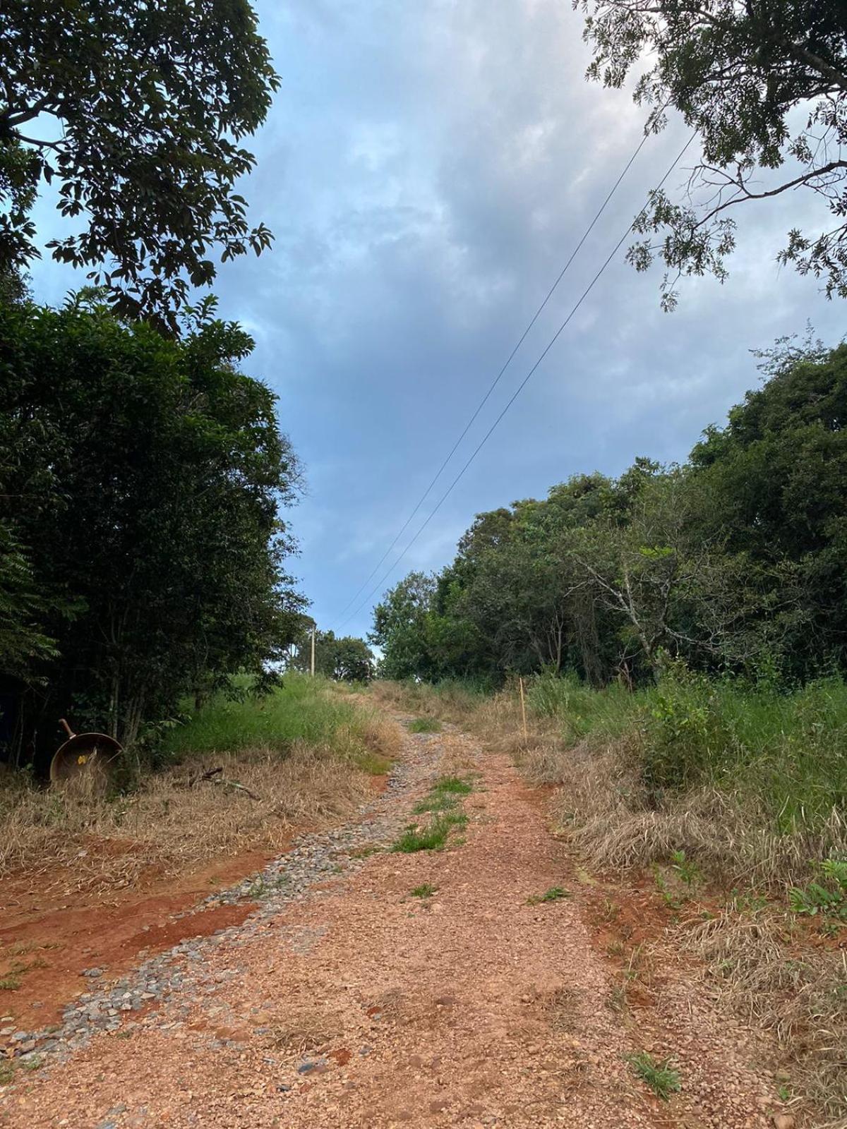 São Roque de Minas Cabana Canastraヴィラ エクステリア 写真